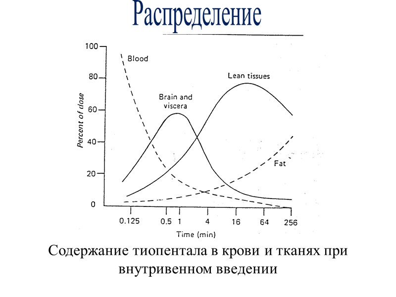Распределение Содержание тиопентала в крови и тканях при внутривенном введении